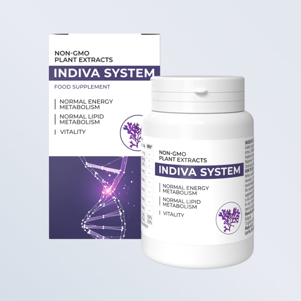 Indiva System Argentina